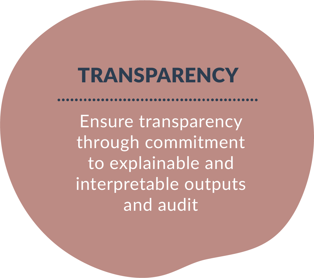 Transparency - Ensure transparency through commitment to explainable and interpretable outputs and audit